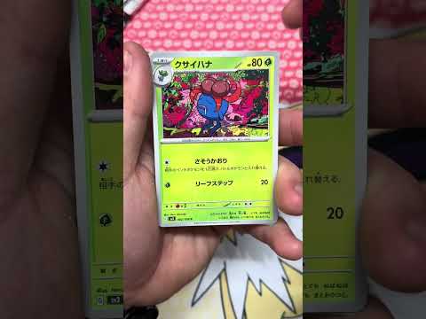 Opening some Japanese packs - #pokemoncards #collectiblecards #pokemon