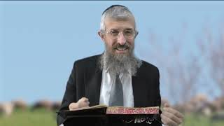 מסכת זבחים דף ב - 8 דקות של לומדות ועמקות בדרך הלימוד הישיבתית [Zevachim 2]