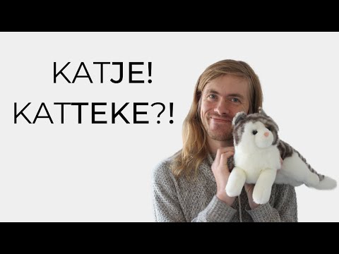 DIMINUTIVES in Dutch and Flemish