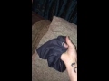Review For Skull Face And Black Buff Tube Mask