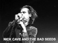 nick cave and the bad seeds - sad waters 