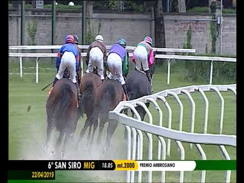 2019.04.22 Premio Ambrosiano (ITA) - Dirk