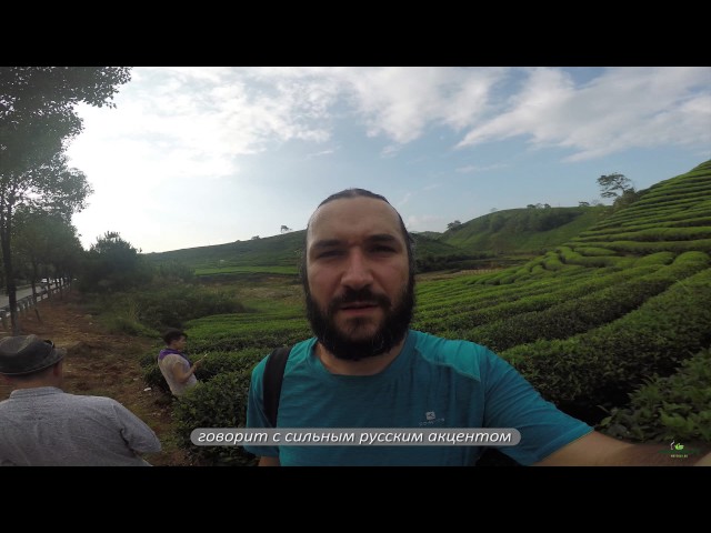 Чайный тур Мойчай.ру, октябрь 2016. Фуцзянь: Уишань, Аньси, Дэхуа. Fujian: Wuyishan, Anxi, Dehua