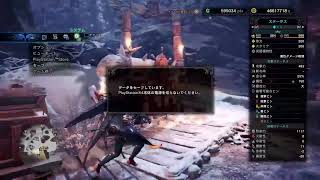 ミラボレアス　弓ソロ討伐を目指す