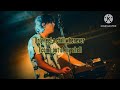 Alsatian Darn - Panda Bear (Lyrics)