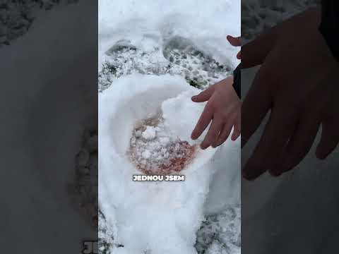 Virální zmrzlina🍨