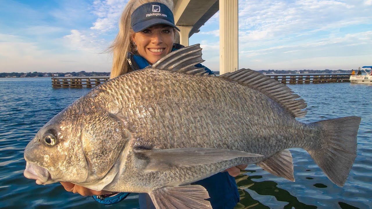 Florida Bridge Fishing for Big Black Drum! BBQ Catch & Cook