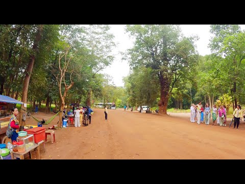 Countryside Food Tour in Cambodia, Street Food Compilation in Province & City, Amazing Market Scene!