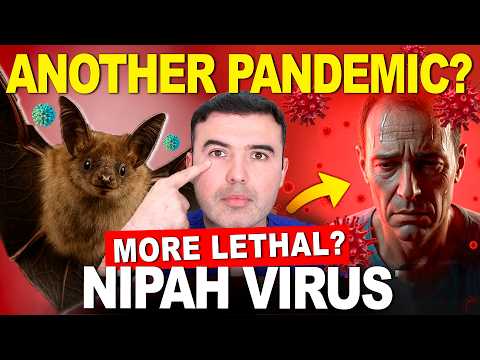 ⚠️NEW GLOBAL HEALTH EMERGENCY! - All About the NIPAH VIRUS🦠