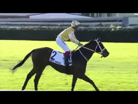 2018 BRC Doomben Cup