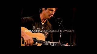 Billie Jean Unplugged Chris Cornell