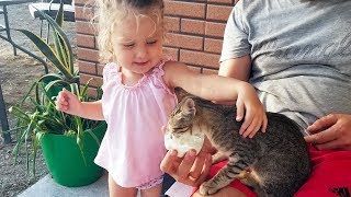 Cute Kitten and Toddler meeting for the first time