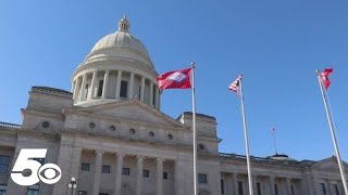 Amended Protect Arkansas Act to take effect January 2025