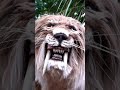 Animatronic Smilodon Saber-toothed Prehistoric Big Cat | Dinosaurs Predators | #Shorts