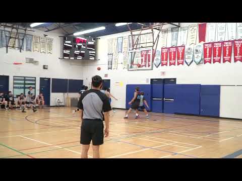 Chicago Blue vs Schwifty - Sunday tier 4 - tcbl 2021 winter