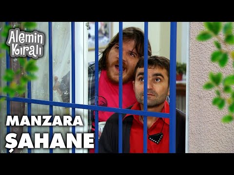 Tapir, Beşer'de kalmaya başladı - Alemin Kıralı 17. Bölüm