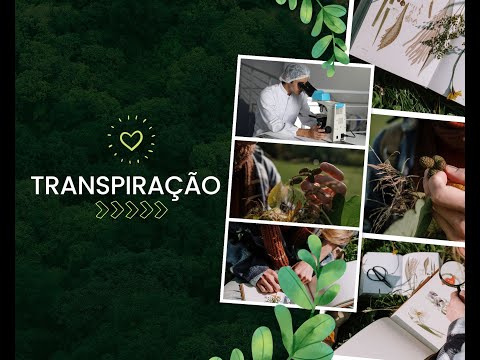TRANSPIRAÇÃO  - Vamos entender como as plantas funcionam?