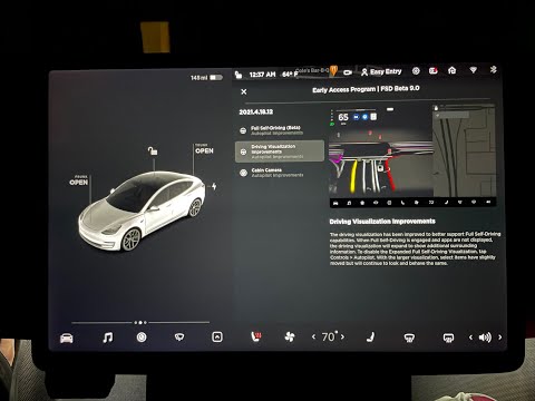 Tesla's FSD Beta 9