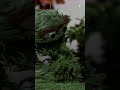 How Oscar The Grouch Met Slimey Sesamestreet