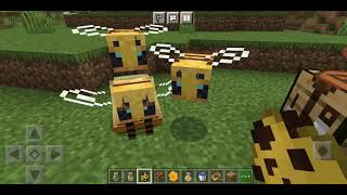 How to spawn a QUEEN BEE in minecraft. *with a mod*.