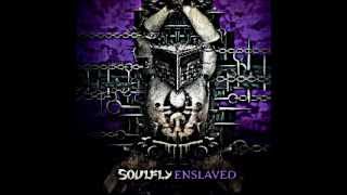 Plata o Plomo con Tony Campos en la voz \m/ SOULFLY