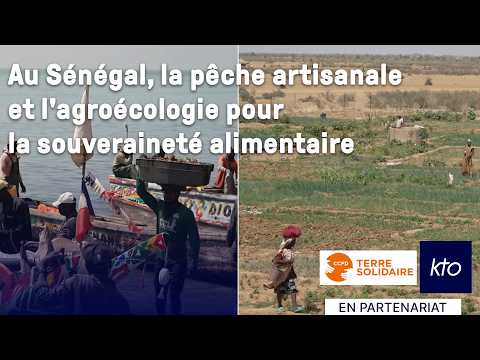 Au Sénégal, la pêche artisanale et l’agroécologie pour la souveraineté alimentaire
