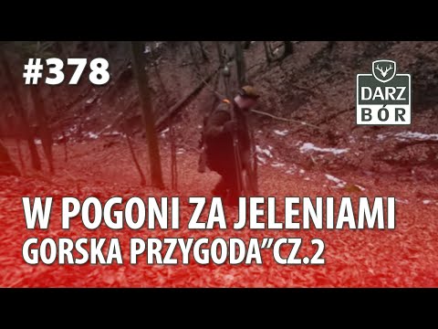 Darz Bór odc 378 - Gorska przygoda cz2- w pogoni za jeleniami