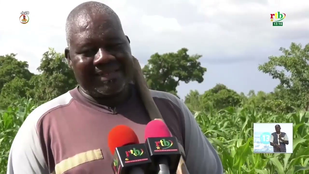 Campagne agricole humide dans le Sanguié: Les spéculations présentent une bonne physionomie