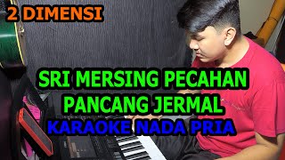 Download lagu Sri Mersing Pecahan Pancang Jermal Karaoke Melayu 2 Dimensi Nada Pria @FikriAnshori19 mp3