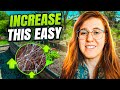 MOLASSES & SOIL MICROBES. DOES THIS GARDEN HACK WORK? | Gardening in Canada
