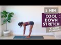 5 MIN FULL BODY COOL DOWN STRETCHES POST WORKOUT FOR FLEXIBILITY DO THIS AFTER EVERY WORKOUT