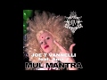 Joe T Vannelli feat. Ania J - Mul Mantra (Club Mix ...