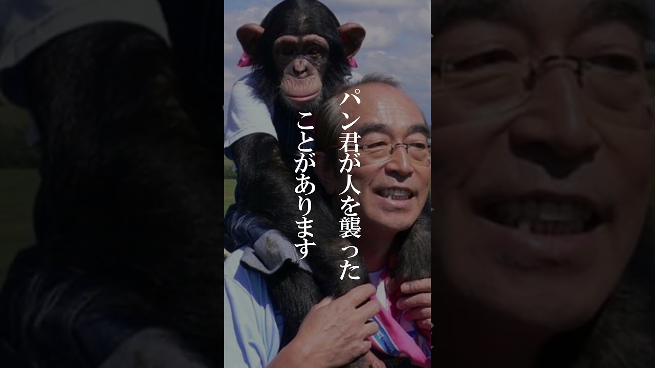 動物園スターの暴走 パン君の衝撃的な行動とは #怖い #動物園 #パン君