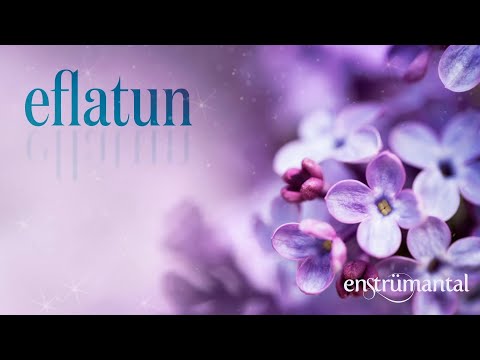Eflatun | Fon Müziği ♫ ((Yeni))