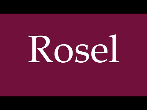 How to Pronounce ''Rosel'' Correctly in German
