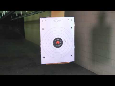 Gun Review Diamondback DB380 The Firearms Channel