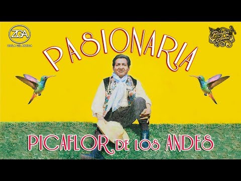 Picaflor de los Andes - PASIONARIA ❤️