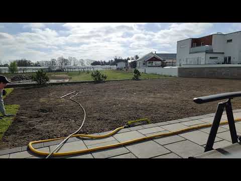 Time-Lapse new lawn