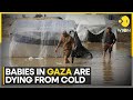 Israel-Hamas War: Newborn Babies Are Dying Of Cold In Gaza | WION | World News