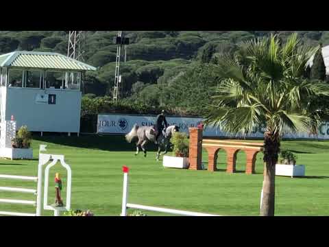 7yo Gelding, Thunder x Quidam de Revel, 135