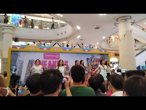 Daisy Daisy : ตึกตั๊ก @ Sneakers Showcase - Terminal 21【4K】