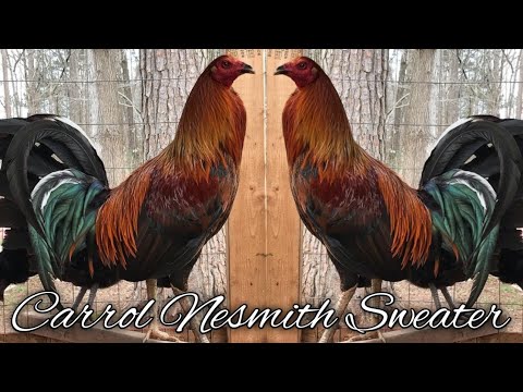 Carrol Sweater Gilmore Hatch Kelso - TRIPLE M FARM