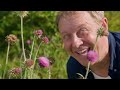 Wild Kratts Bumblezzzz Meadow Of Bumblebees What If