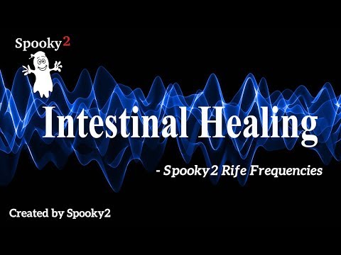 Intestinal Healing - Spooky2 Rife Frequencies