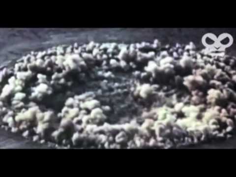 APEXAPE (LIVE) - VOLUME 2