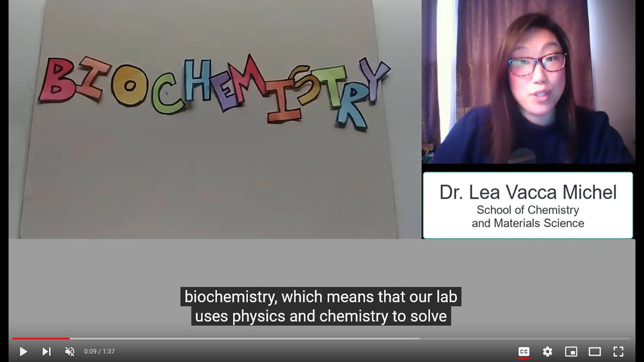 Lea Michel Bio video