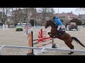 hongre de 8 ans avec un bon potentiel en CSO