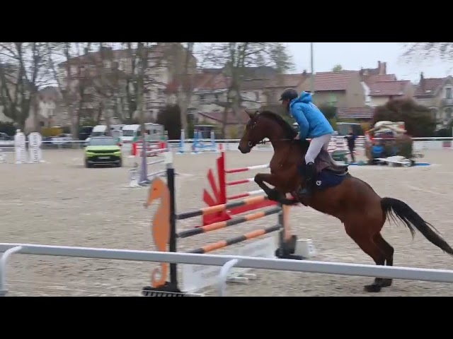 hongre de 8 ans avec un bon potentiel en CSO