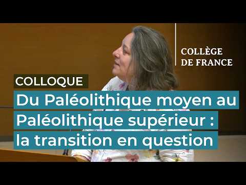 Du Paléolithique moyen au supérieur (8/9)
