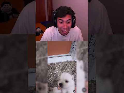 “Estaba Dormido Pobresito” | #humor #elabrahaham Twich #abrahamm |#shorts clip Elabrahaham |